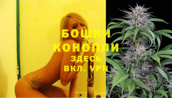 кокс Богородицк