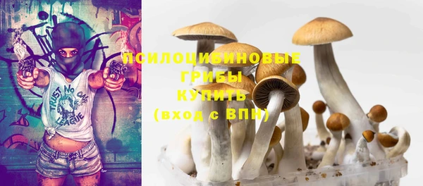 гидропоника Бронницы