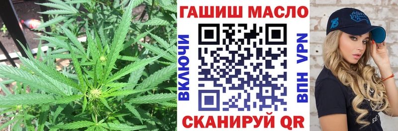 ТГК концентрат Отрадная