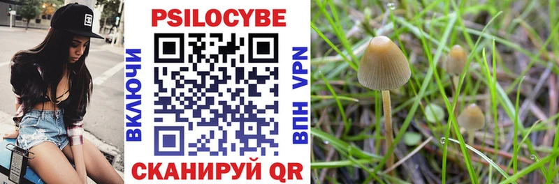 Галлюциногенные грибы MAGIC MUSHROOMS  купить   Отрадная 